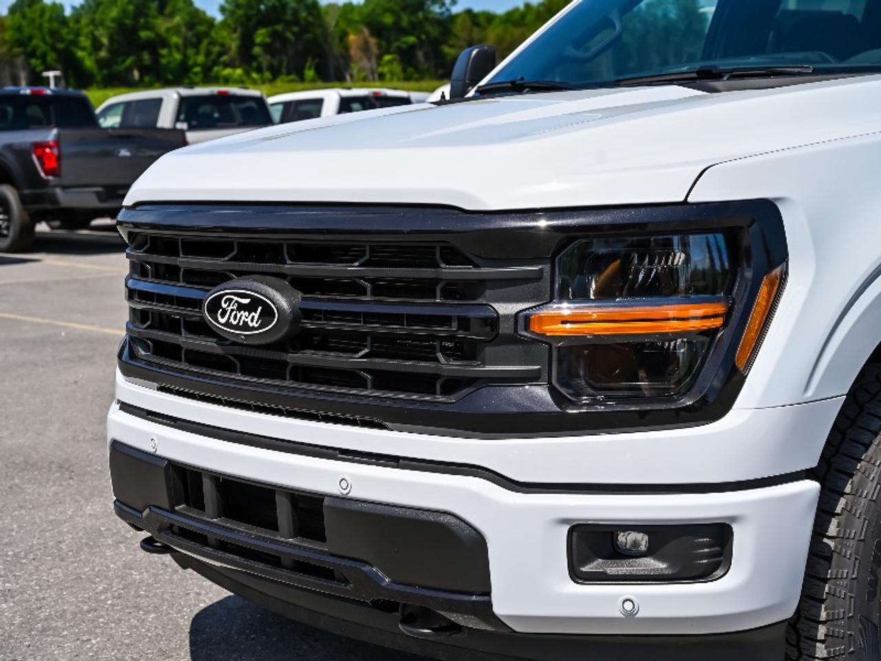 2026 Ford F-150 XLT Photo