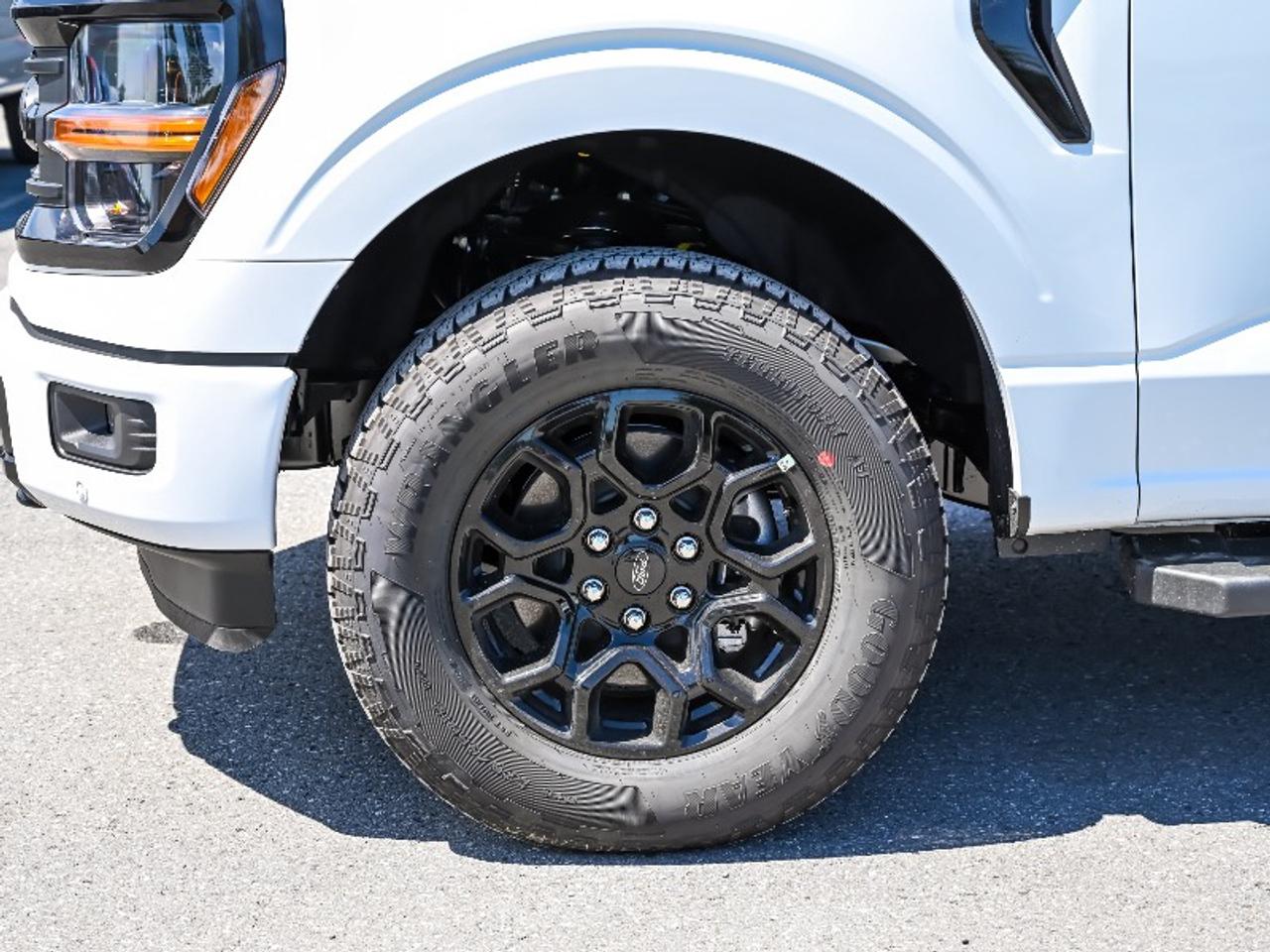 2026 Ford F-150 XLT Photo