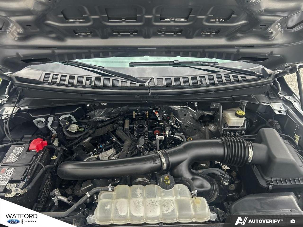 2024 Ford Expedition Limited 4X4 Photo