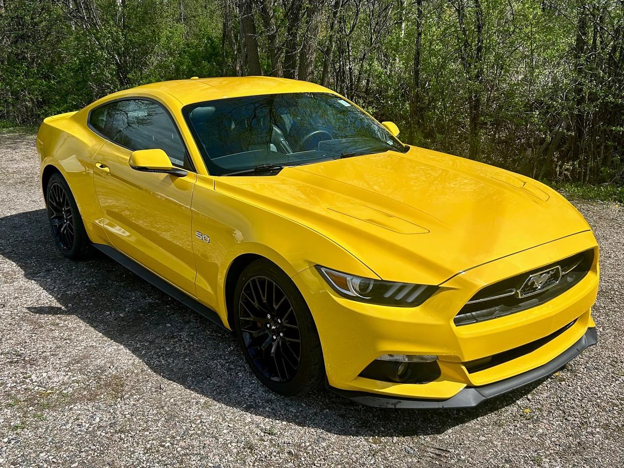 <p>50th Anniversary Edition! 5.0L V8 Coyote w/ 6-Speed Manual Transmission finished in Triple Yellow Tricoat.&nbsp;401A Equipment Package, Security Package, Adaptive Speed Control, GT Performance Package, 3.73 Rear Axle, Navigation, Sync Touch Screen, Rear Spoiler Delete, Reverse Camera, MYKEY, Dual Climate Control, Power Heated/Cooled Seats, and more!&nbsp;</p><p>At Callan Motors, all our vehicles come certified in Ontario unless otherwise noted. Every car receives a full mechanical inspection so you can drive with confidence. Plus, we stand behind our work with a 30-Day / 1,000-KM in-house warranty on repairs completed for certification or while in our inventory.</p><p>We&rsquo;ve proudly served Perth and the surrounding area for over 32 years, offering reliable vehicles at fair prices. We keep our prices competitive&mdash;often below market&mdash;and update them regularly so you know you&rsquo;re getting solid value. Our team is available 7 days a week to answer any questions online or in person Monday through Saturday.</p><p>* Additional costs may include: HST, Documentation Fee ($299), Licensing ($125), Carfax ($50) and/or OMVIC Fee ($22).Each deal is different, any additional fee(s) or bank financing fee(s) will be explained during your visit to the dealership.</p>