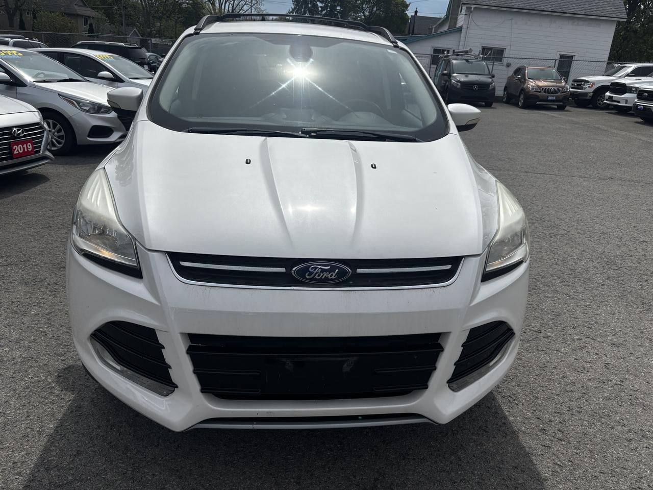 2013 Ford Escape SEL Photo