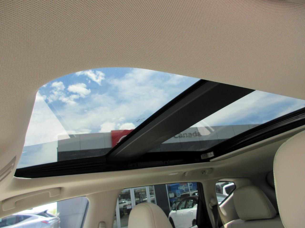2023 Nissan Murano Platinum Photo