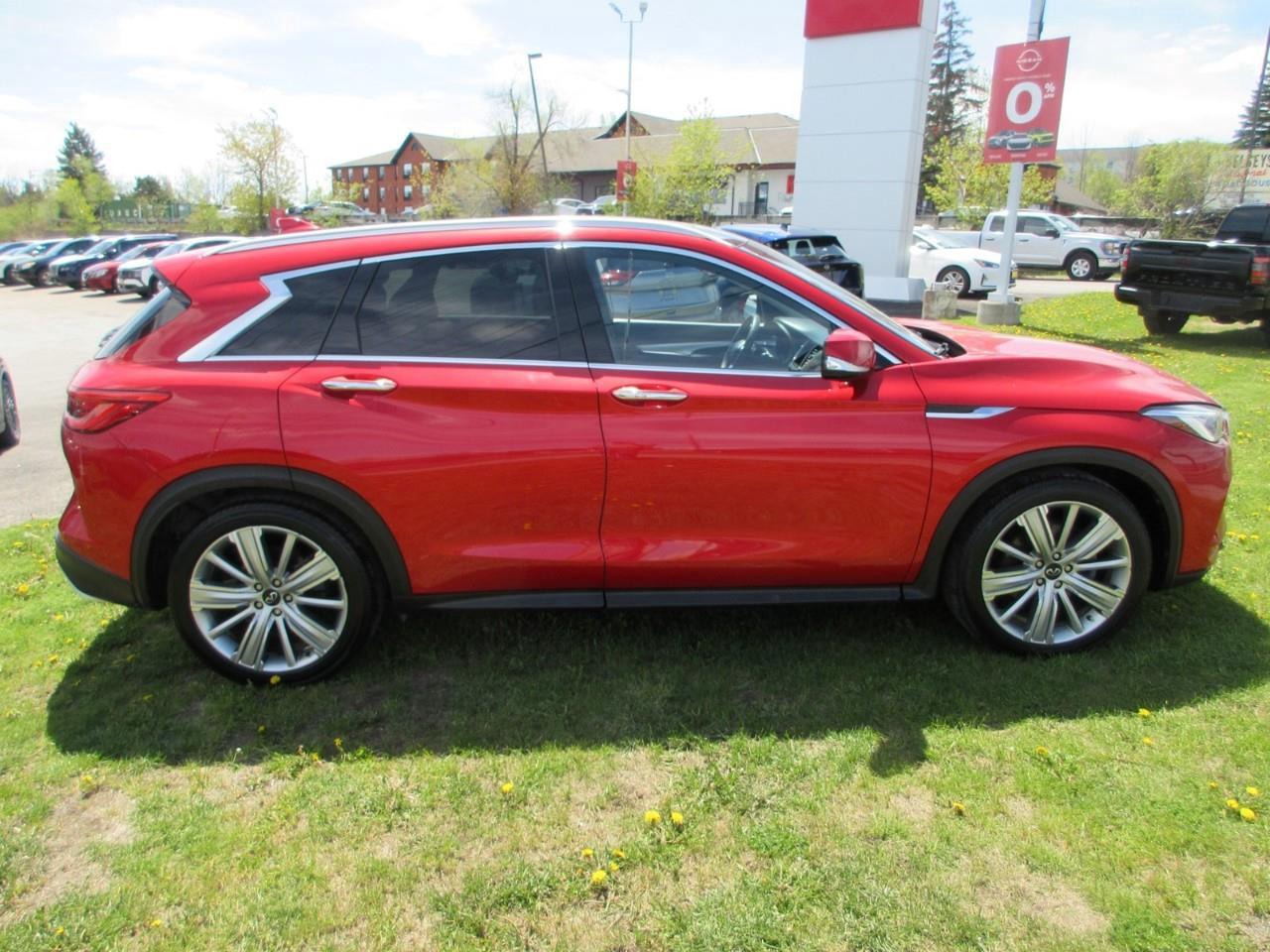 2020 Infiniti QX50  Photo