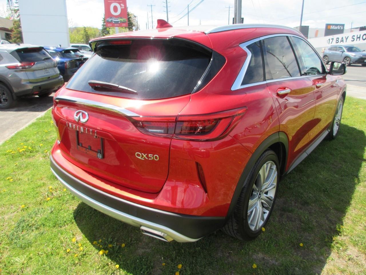 2020 Infiniti QX50  Photo