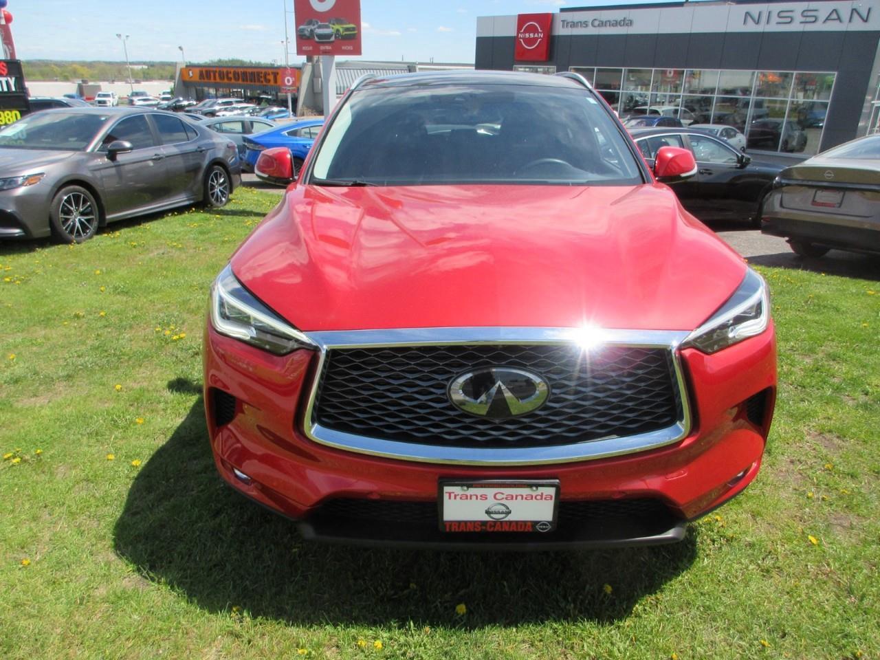 2020 Infiniti QX50  Photo