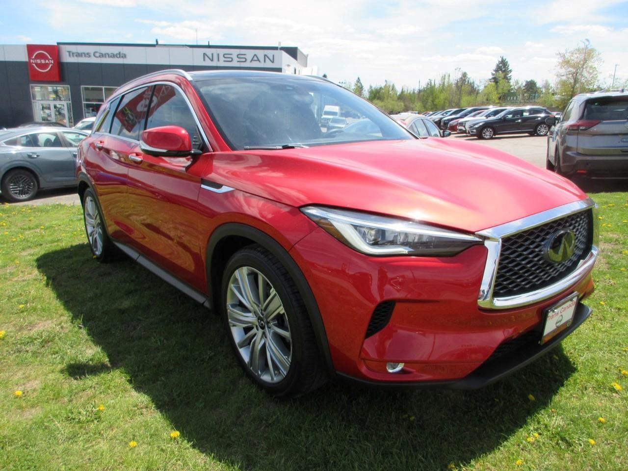 2020 Infiniti QX50  Photo
