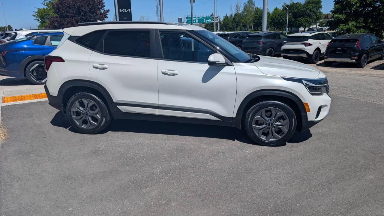 2024 Kia Seltos EX AWD Photo