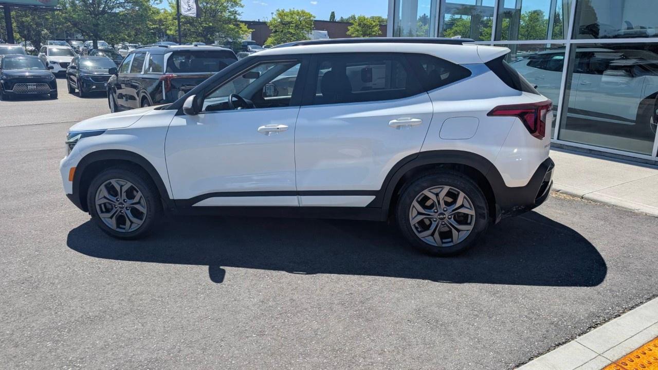 2024 Kia Seltos EX AWD Photo