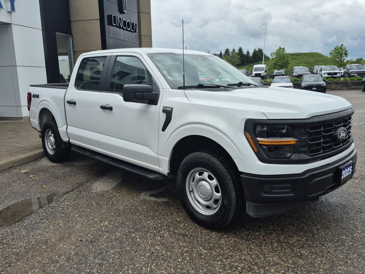 2025 Ford F-150 PREVIOUS DEMO! 2.7L ECO, SIDE STEPS, GREAT ON GAS! Photo3