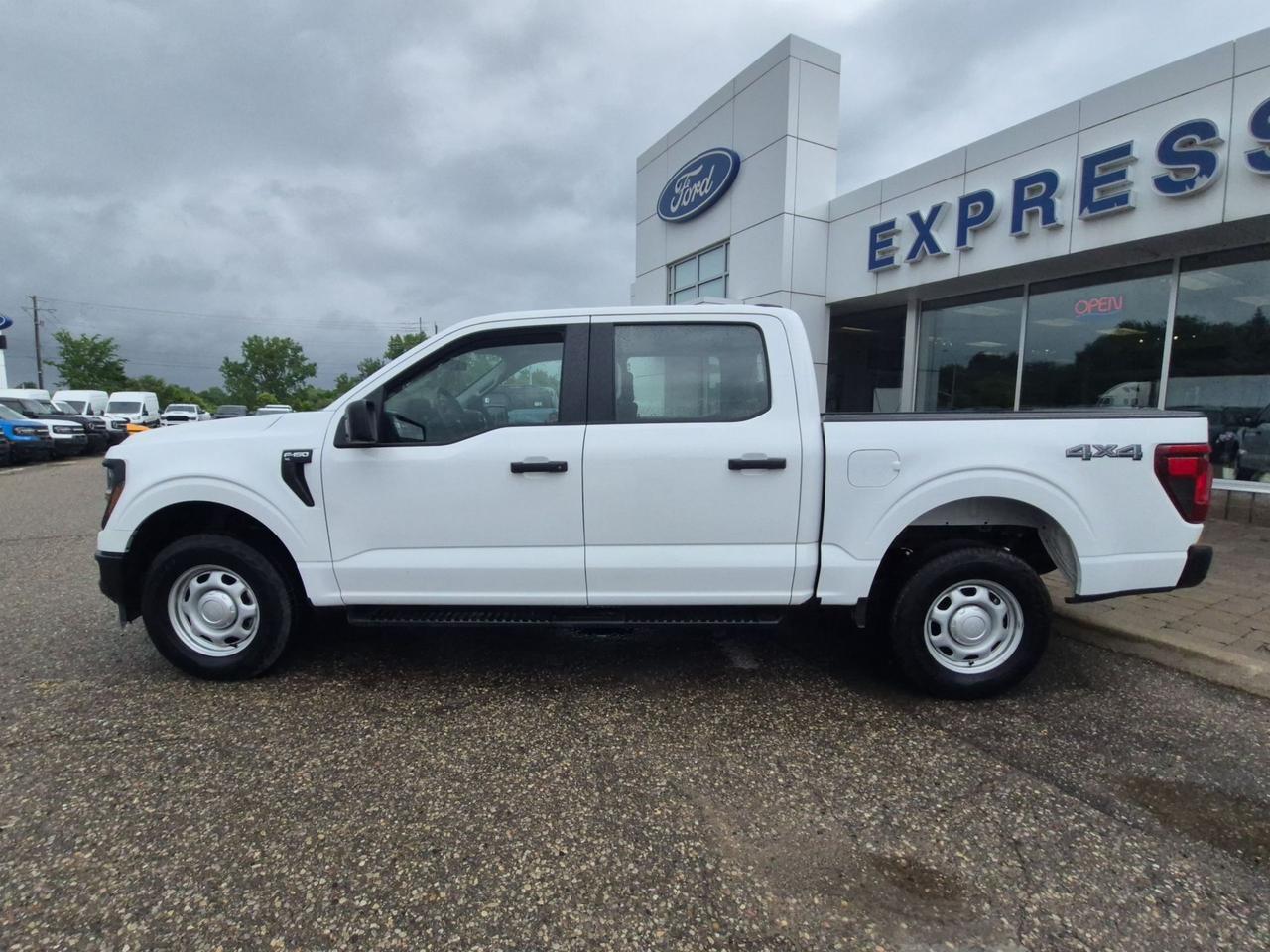 2025 Ford F-150 PREVIOUS DEMO! 2.7L ECO, SIDE STEPS, GREAT ON GAS! Photo