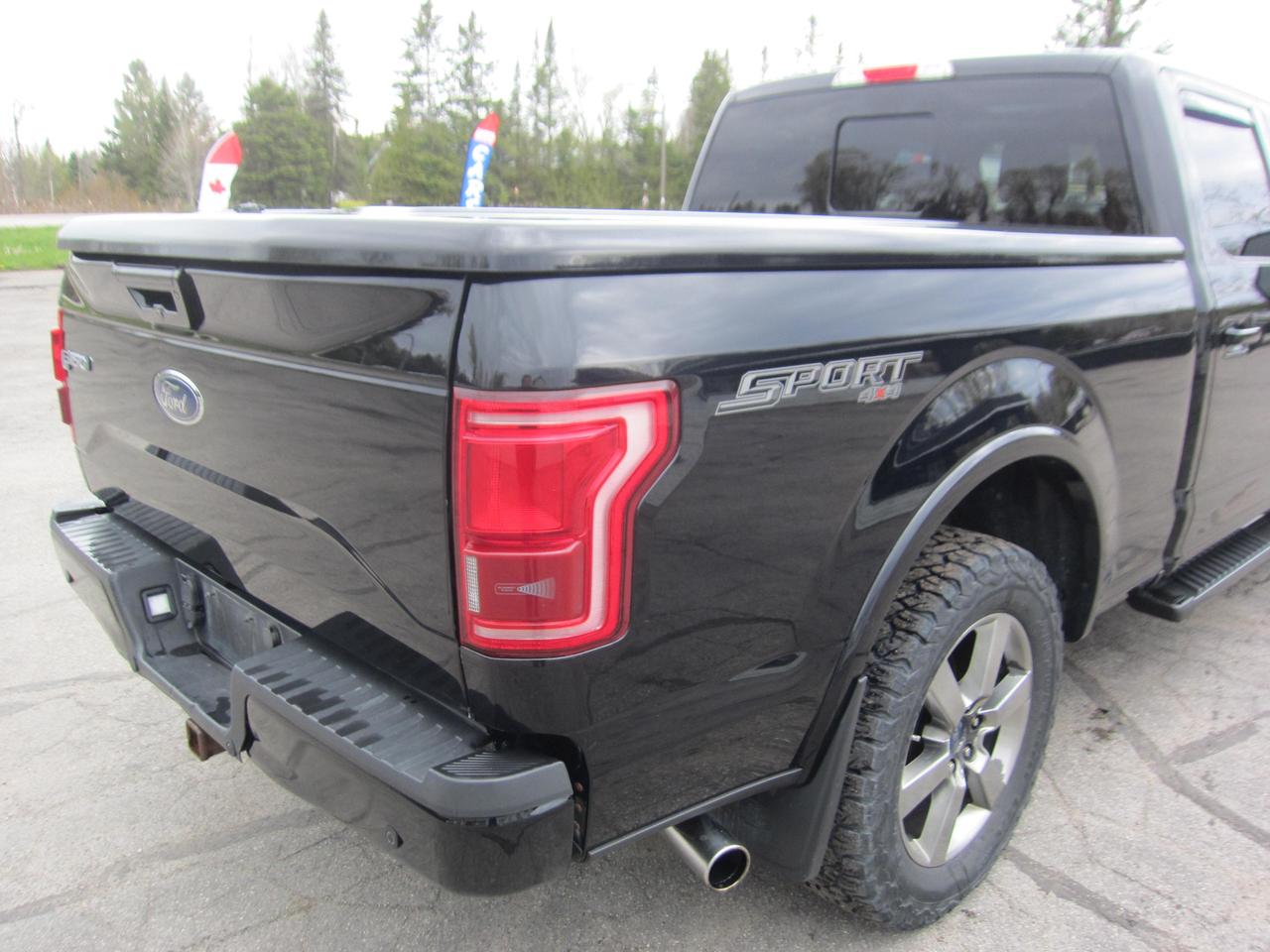 2016 Ford F-150 XLT Photo