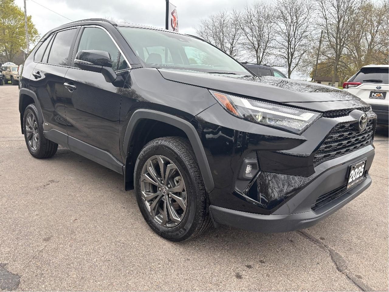 2025 Toyota RAV4 Hybrid XLE AWD PREMIUM PKG SOFTEX LEATHER ROOF CLEAN Photo