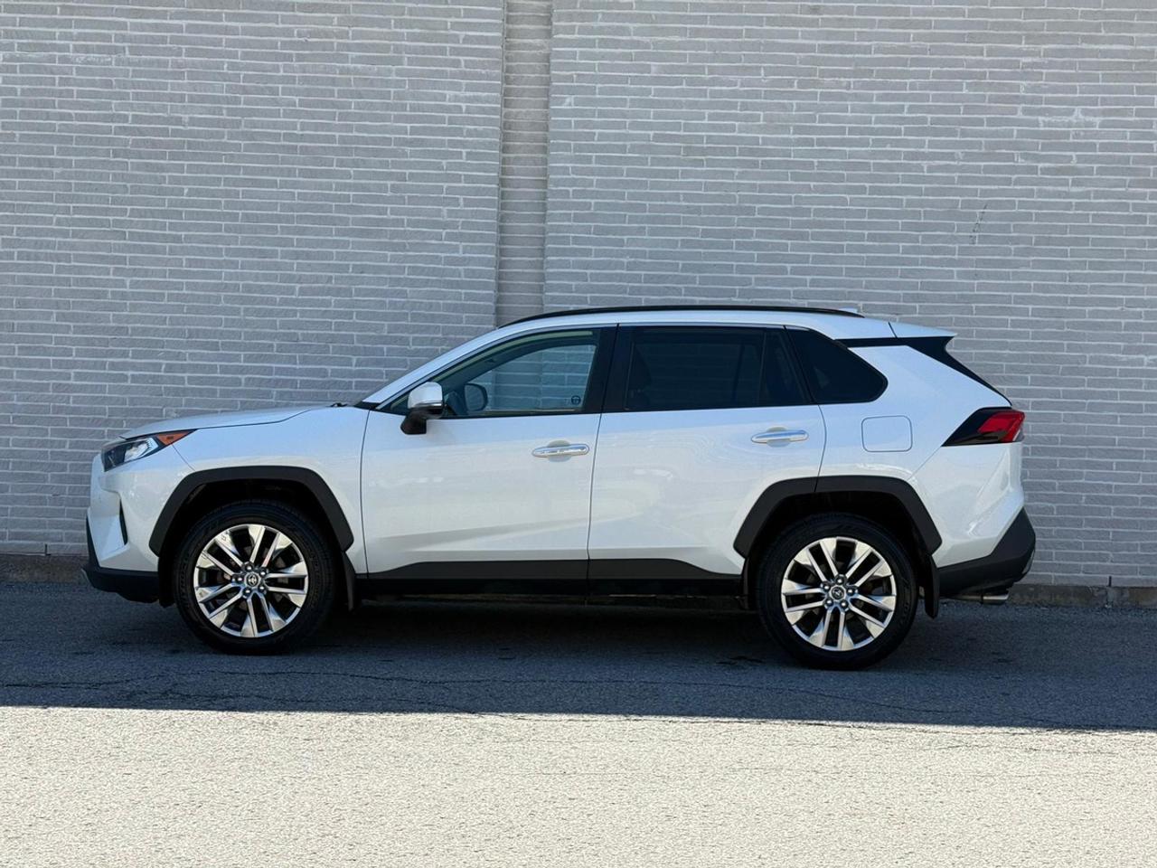 2019 Toyota RAV4 LIMITED  Photo