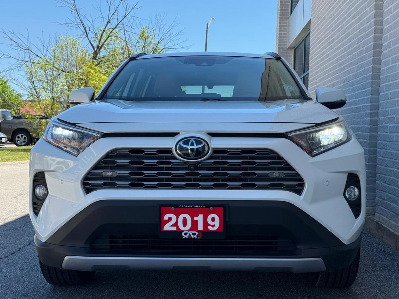 2019 Toyota RAV4 LIMITED  Photo