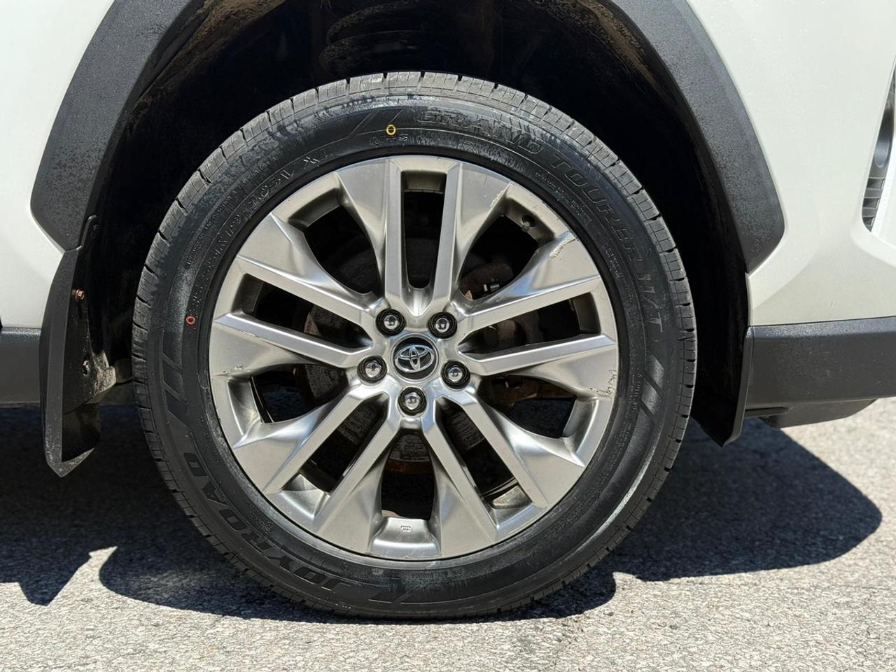 2019 Toyota RAV4 LIMITED  Photo