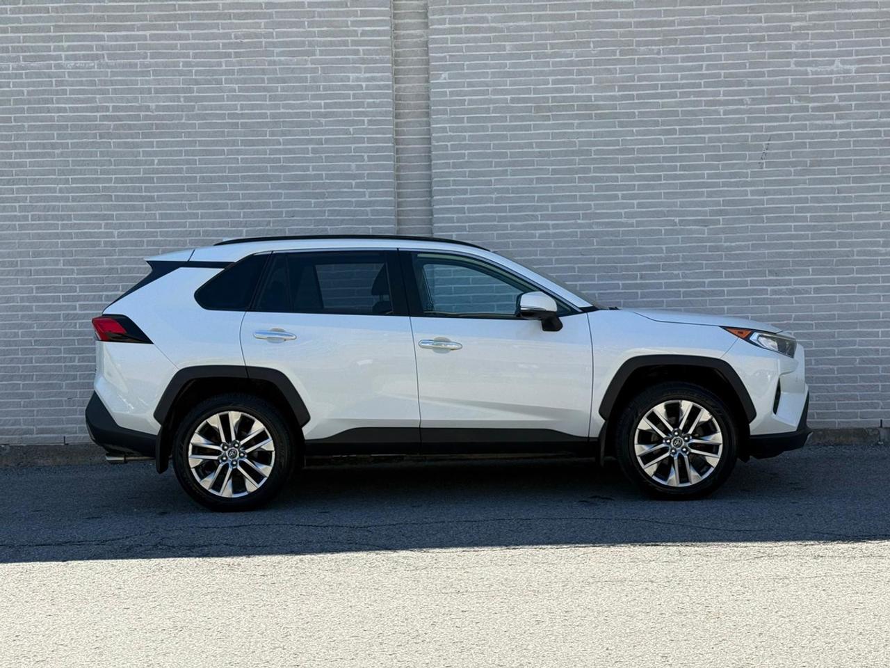 2019 Toyota RAV4 LIMITED  Photo
