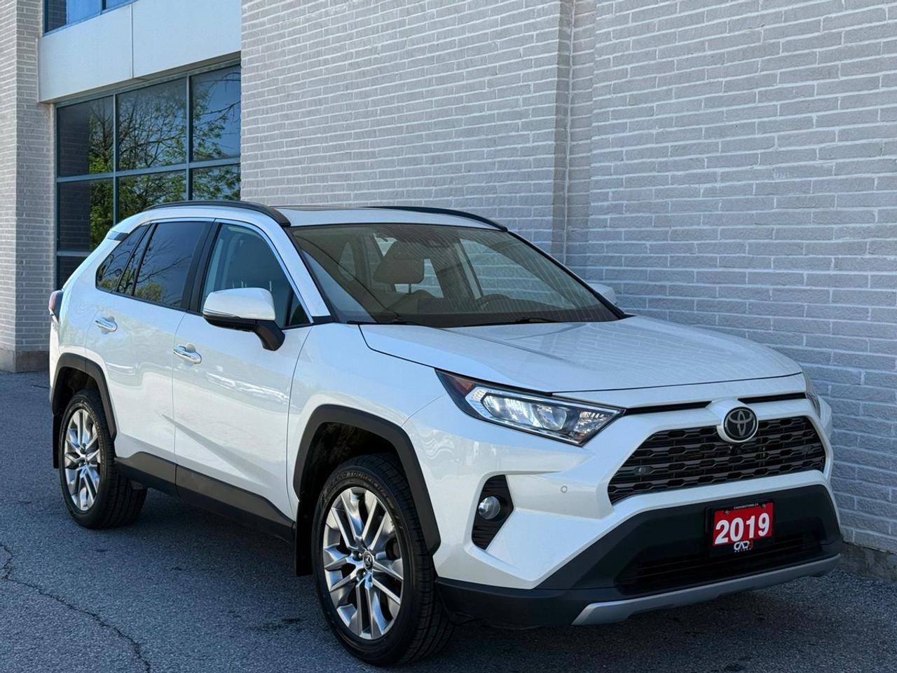 2019 Toyota RAV4 LIMITED  Photo