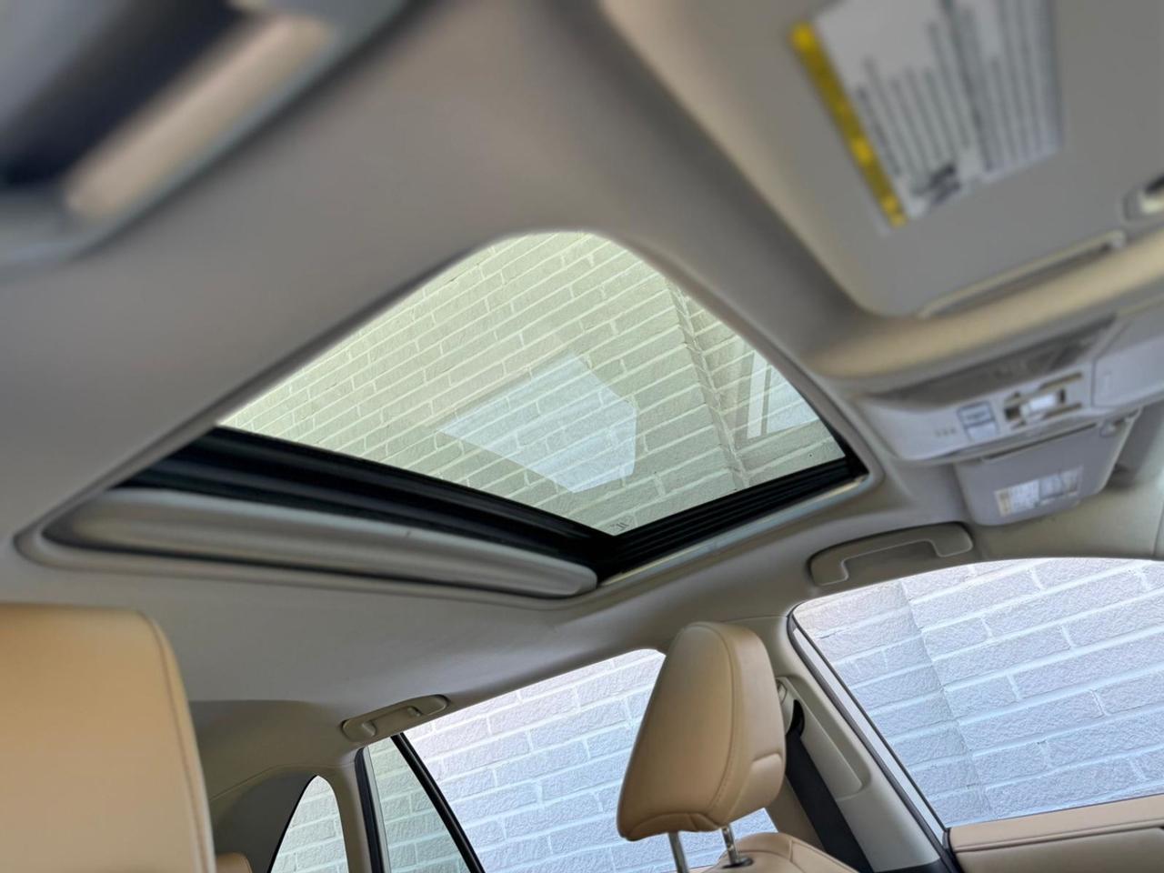 2019 Toyota RAV4 LIMITED  Photo