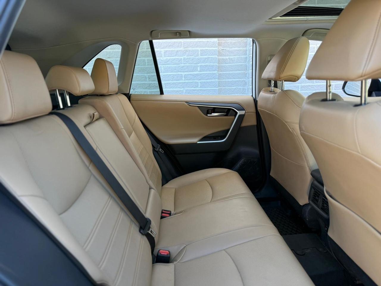 2019 Toyota RAV4 LIMITED  Photo