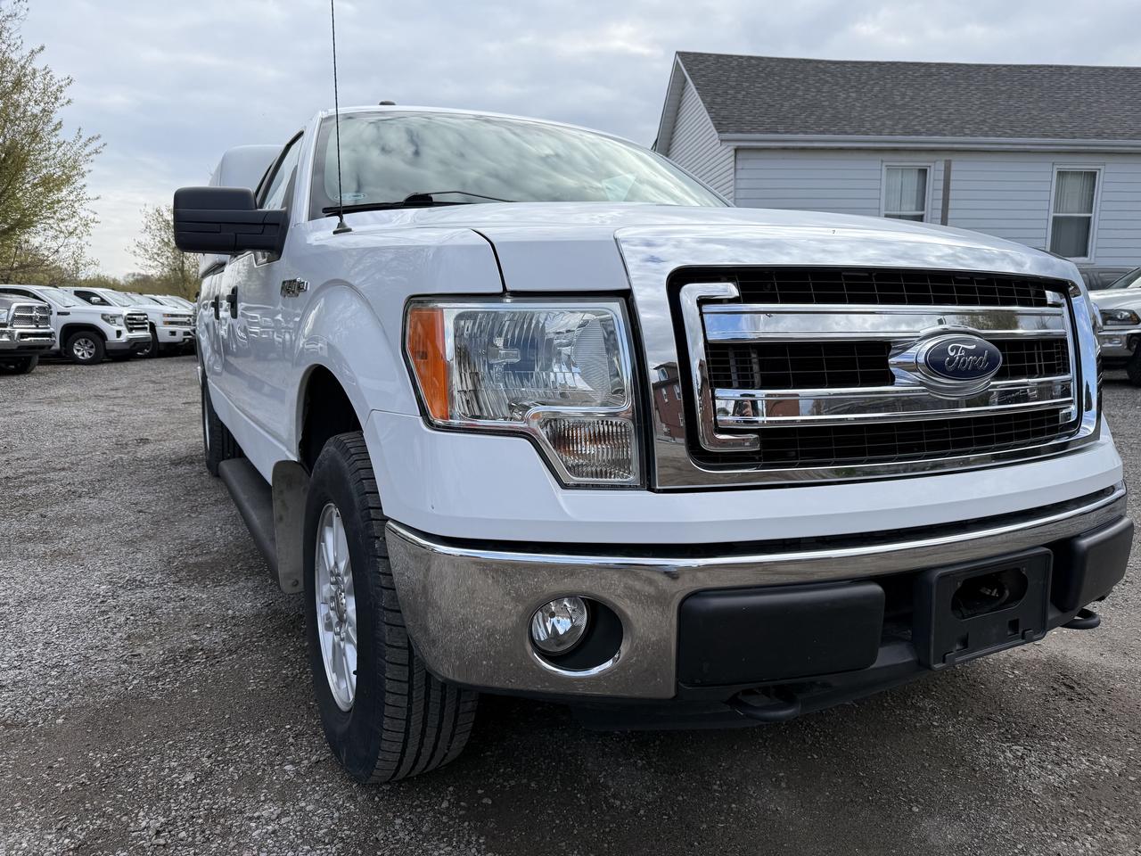 2014 Ford F-150 XLT Photo