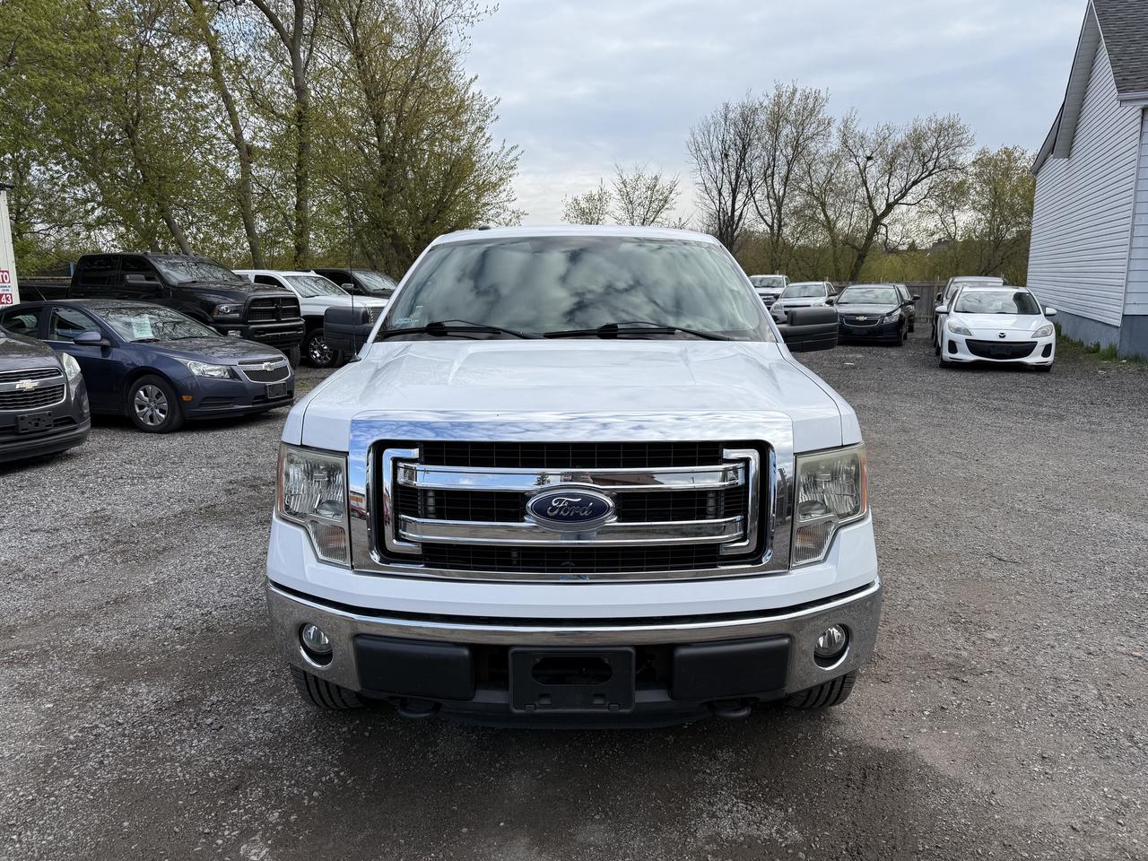 2014 Ford F-150 XLT Photo