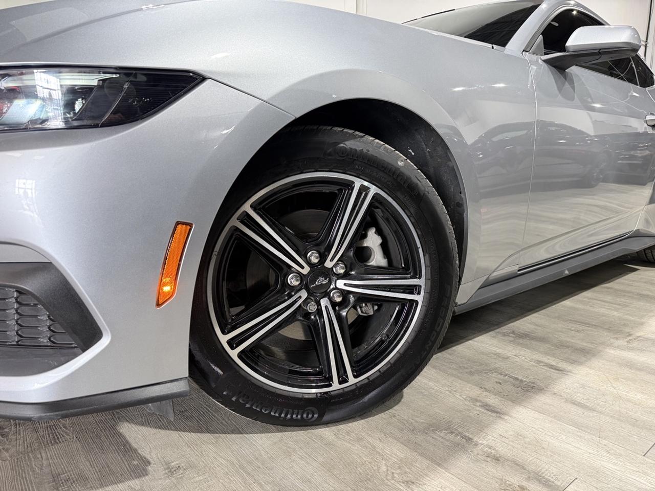 2025 Ford Mustang EB Fastback||Active Exhaust||Clean Carfax Photo3