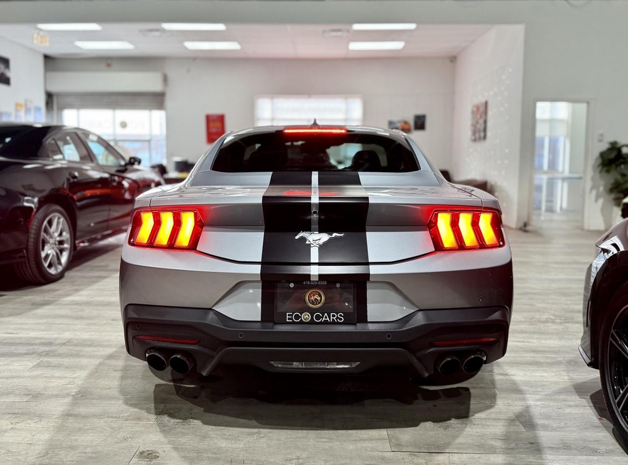 2025 Ford Mustang EB Fastback||Active Exhaust||Clean Carfax Photo