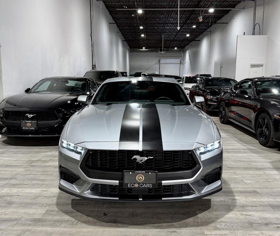 2025 Ford Mustang EB Fastback||Active Exhaust||Clean Carfax Photo