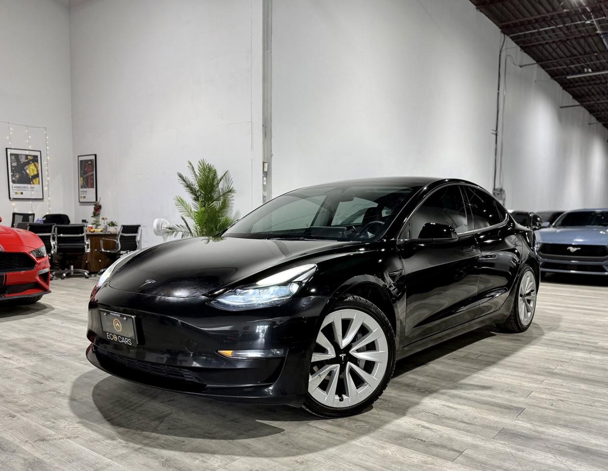 2023 Tesla Model 3 Long Range Awd||Clean Carfax||Autopilot FSD3|| Photo0