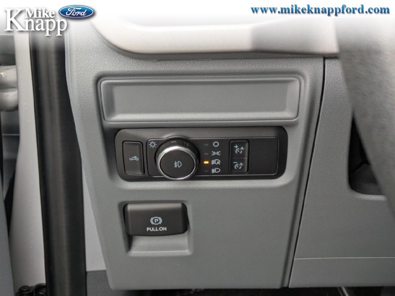 2022 Ford F-150 XLT Photo