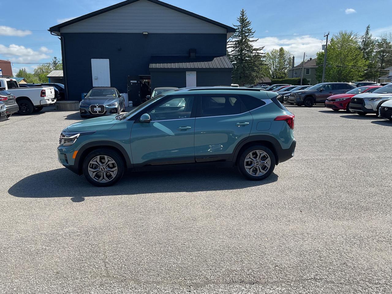 2024 Kia Seltos  Photo