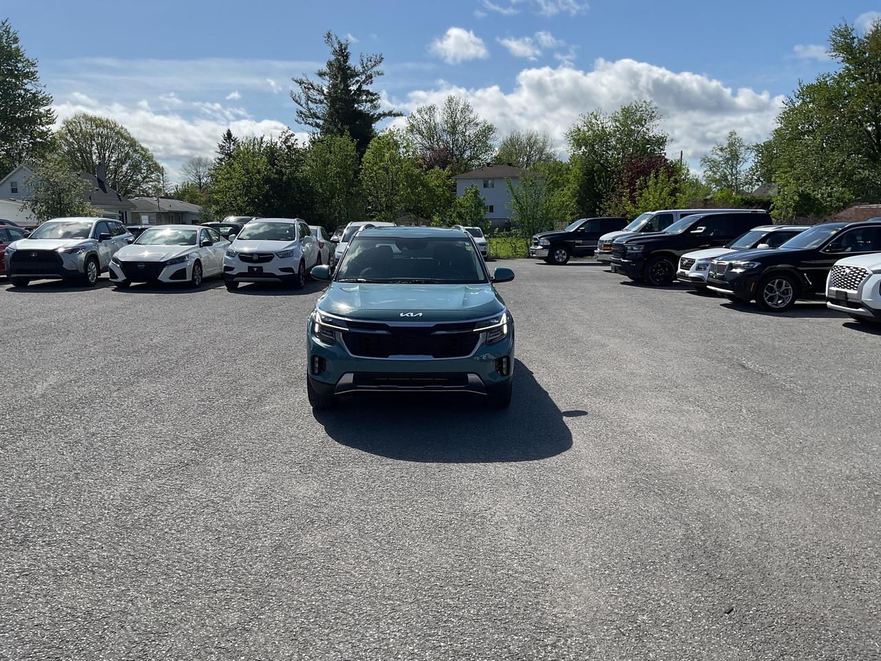 2024 Kia Seltos  Photo