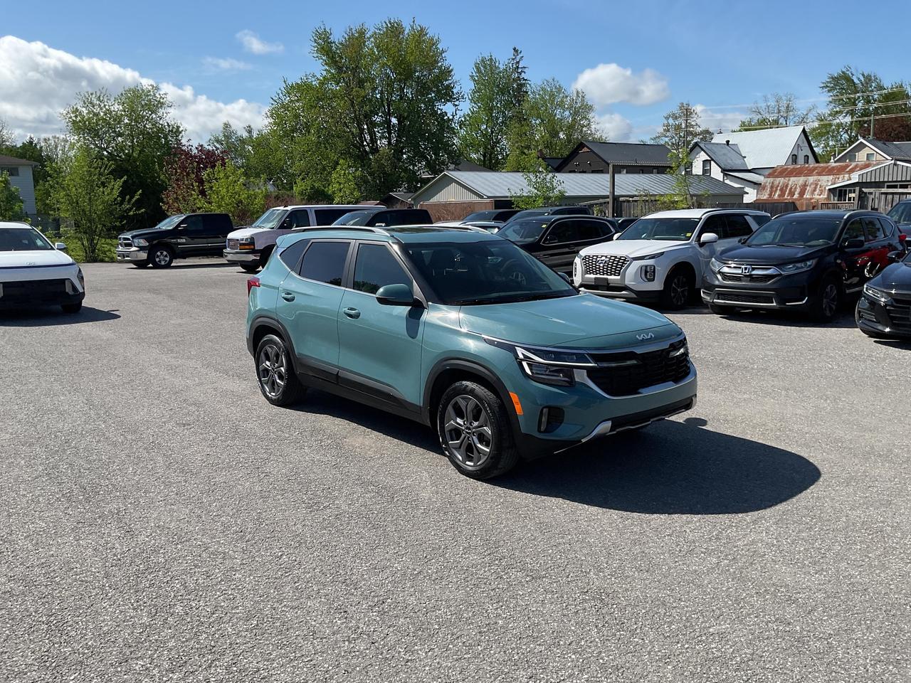 2024 Kia Seltos  Photo