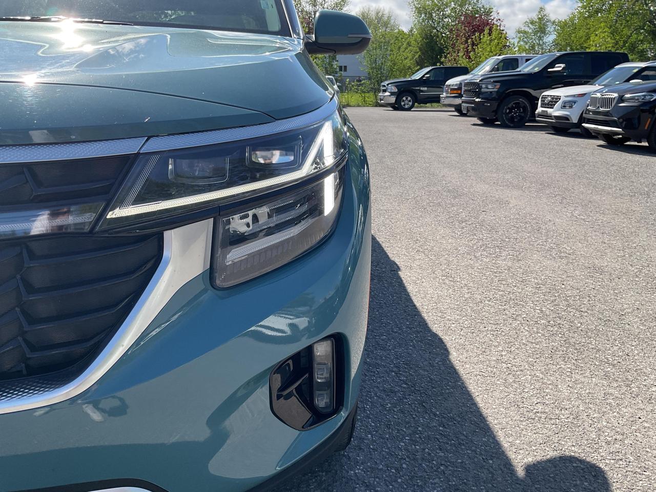 2024 Kia Seltos  Photo