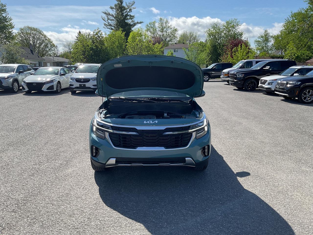 2024 Kia Seltos  Photo