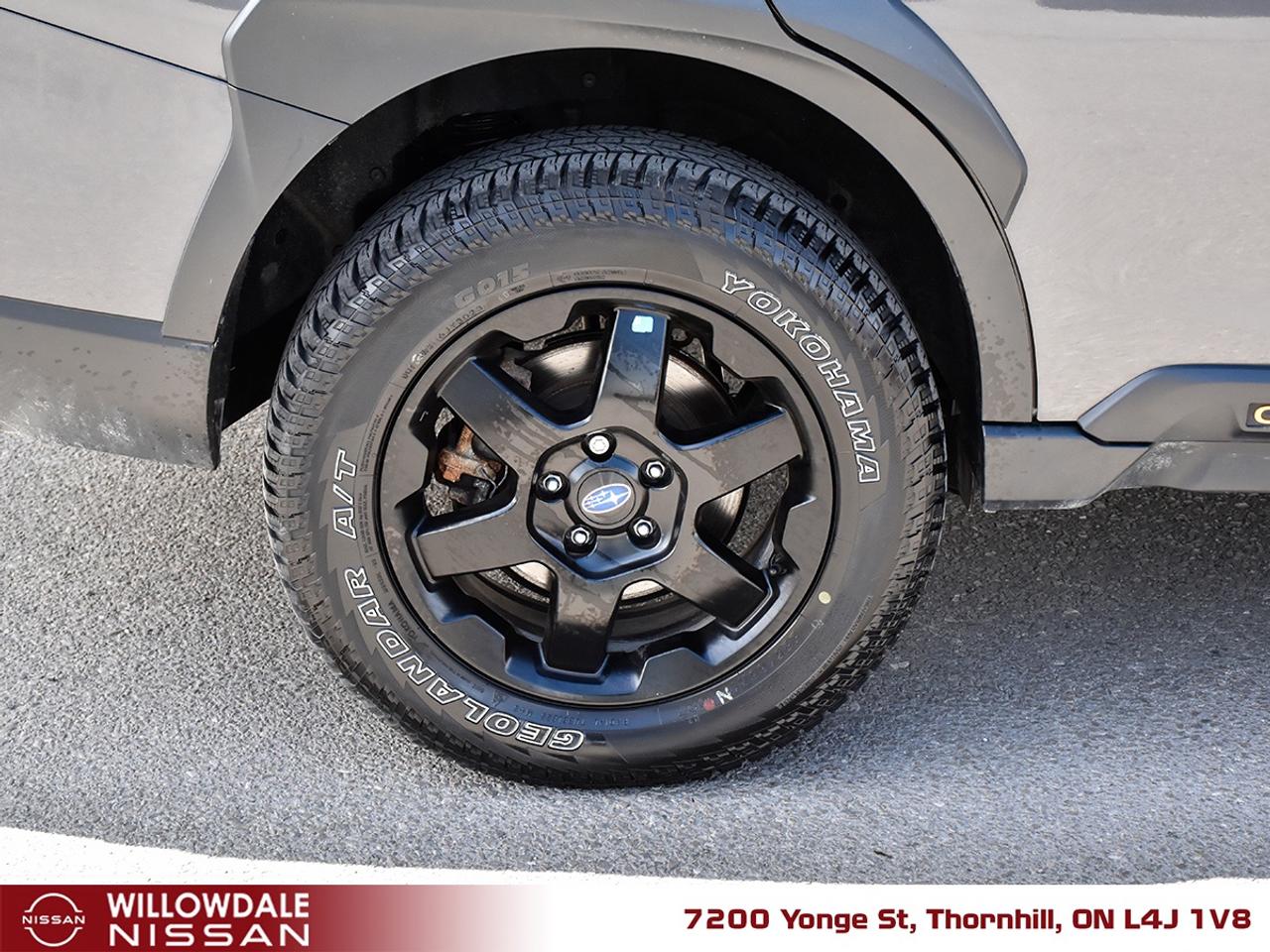 2024 Subaru Outback Wilderness 4dr All-Wheel Drive Photo