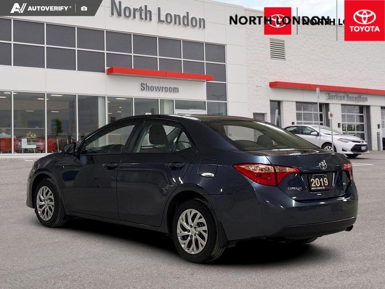 2019 Toyota Corolla  Photo