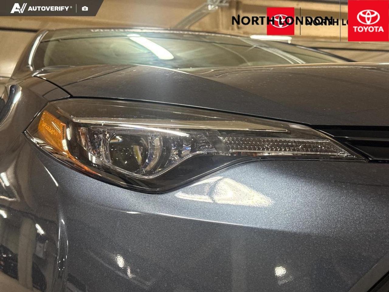 2019 Toyota Corolla  Photo