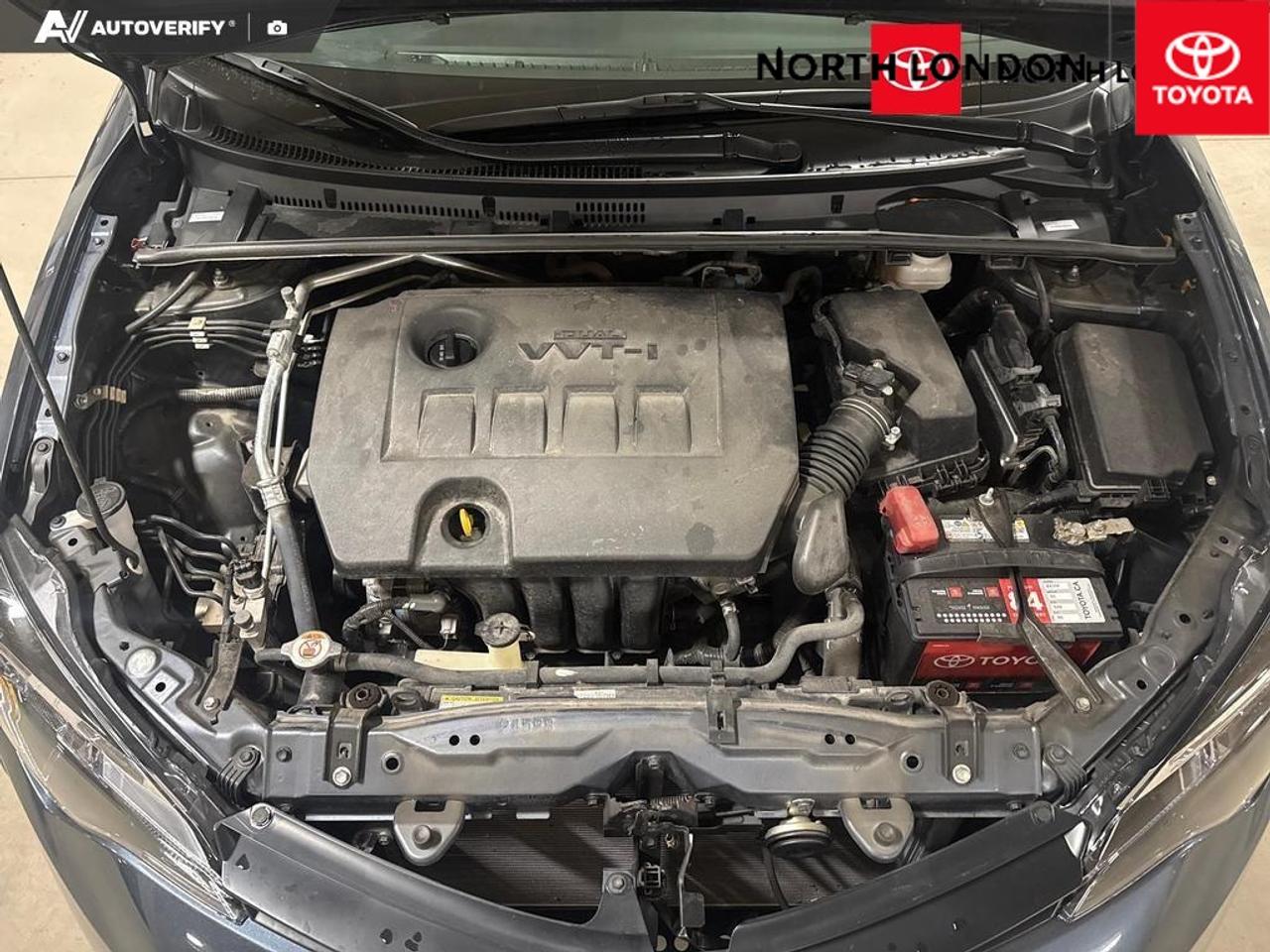 2019 Toyota Corolla  Photo