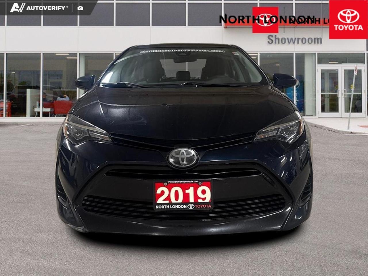 2019 Toyota Corolla  Photo