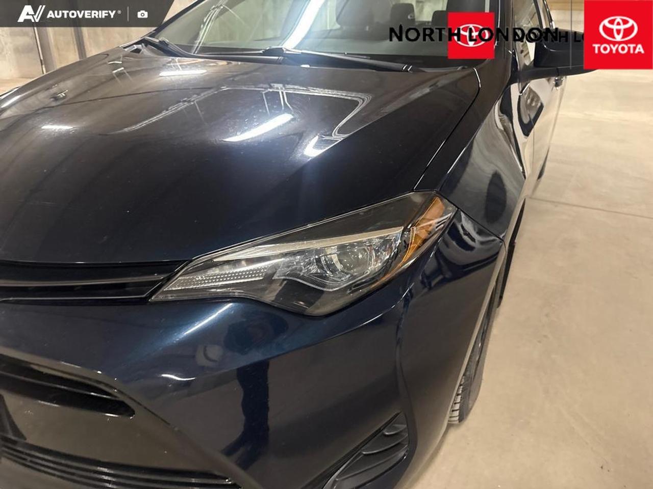 2019 Toyota Corolla  Photo