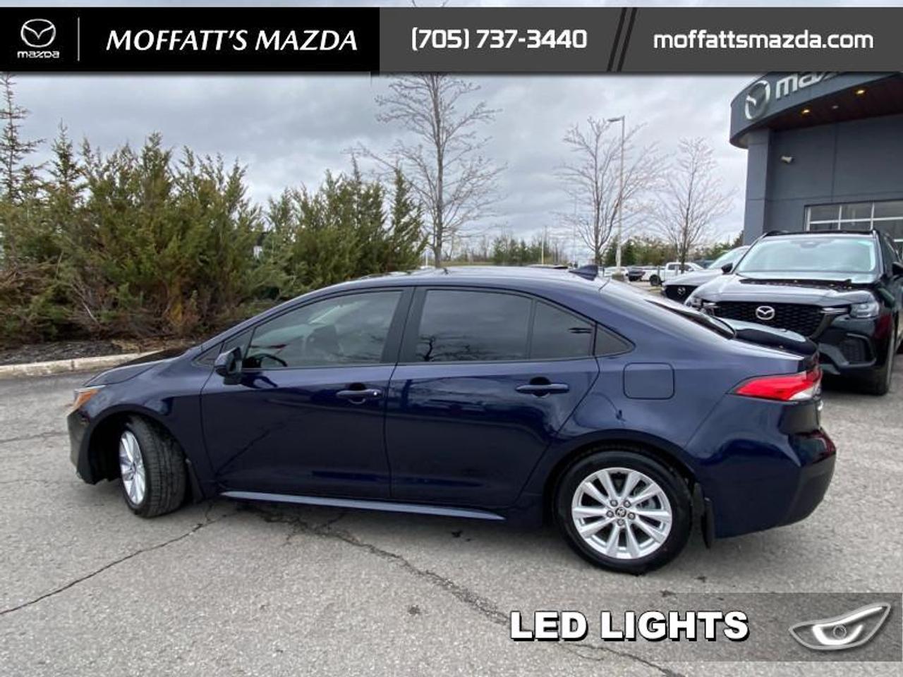 2024 Toyota Corolla LE Photo