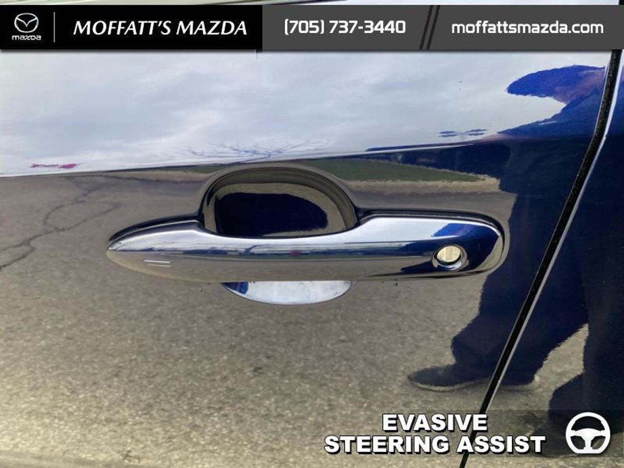 2024 Toyota Corolla LE Photo