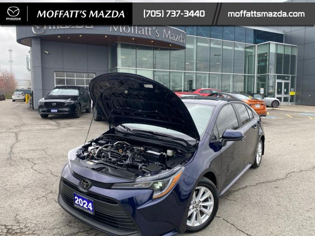2024 Toyota Corolla LE Photo