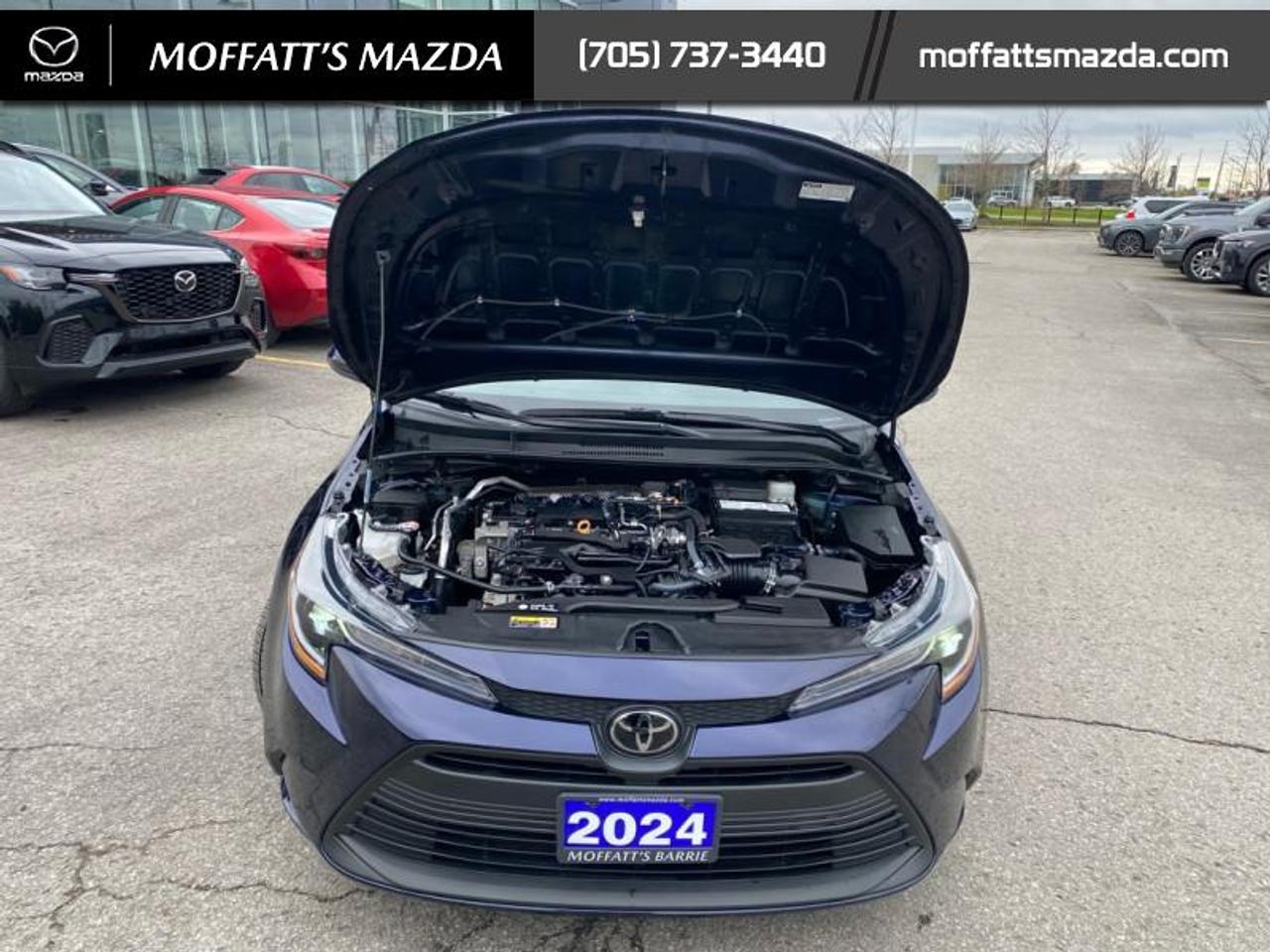 2024 Toyota Corolla LE Photo