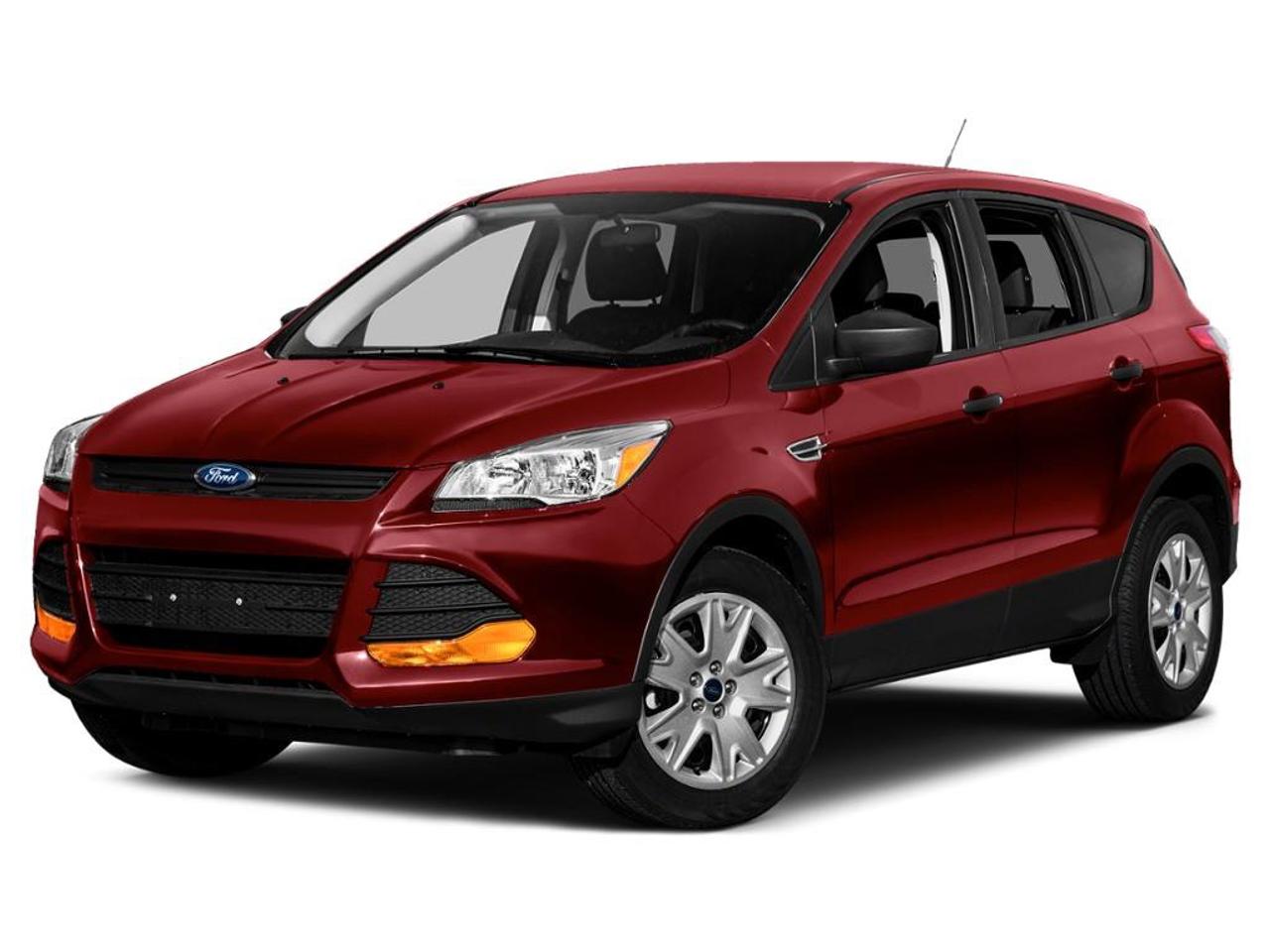 2013 Ford Escape SE 4dr 4x4 Photo0