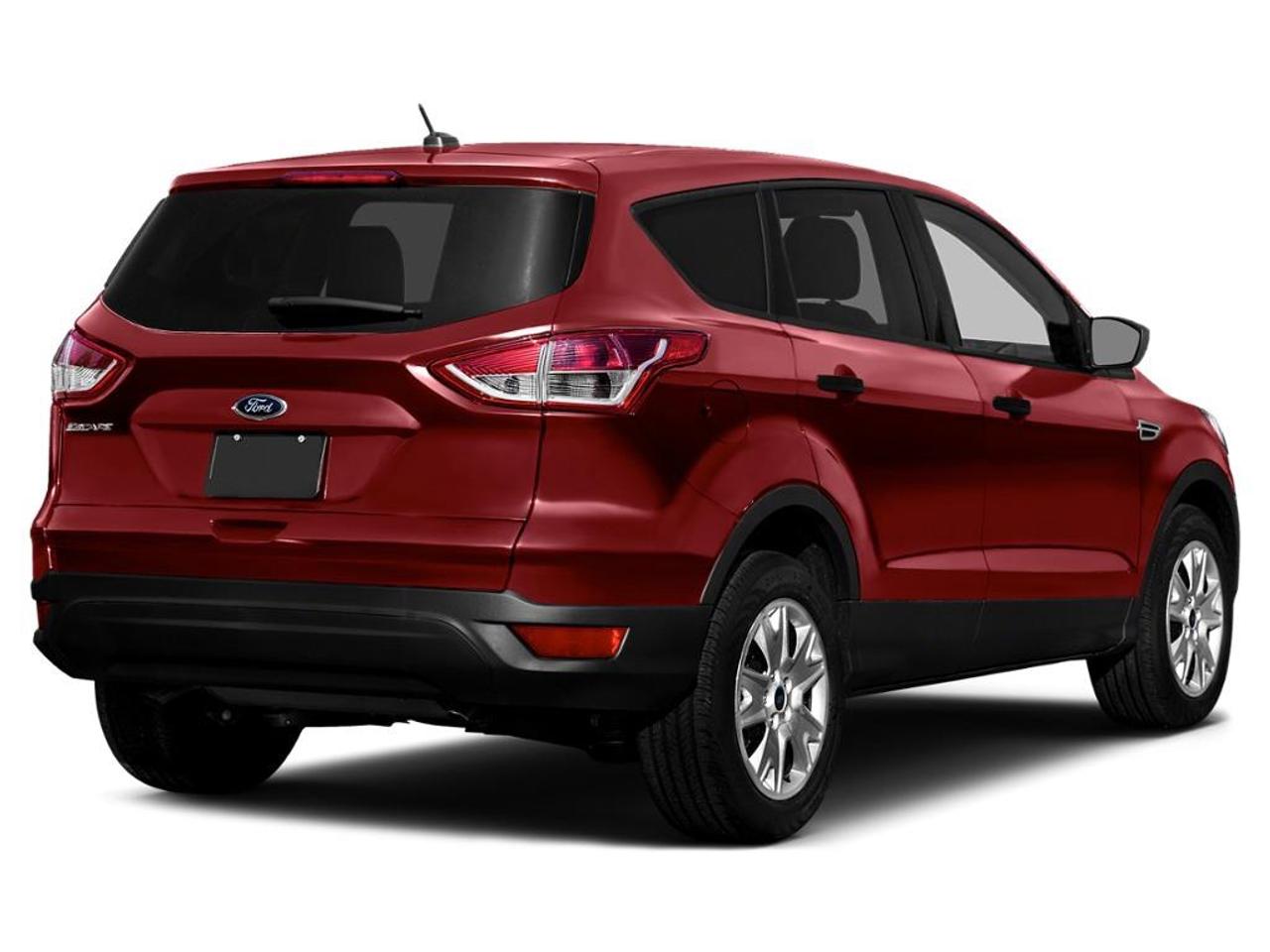 2013 Ford Escape SE 4dr 4x4 Photo2