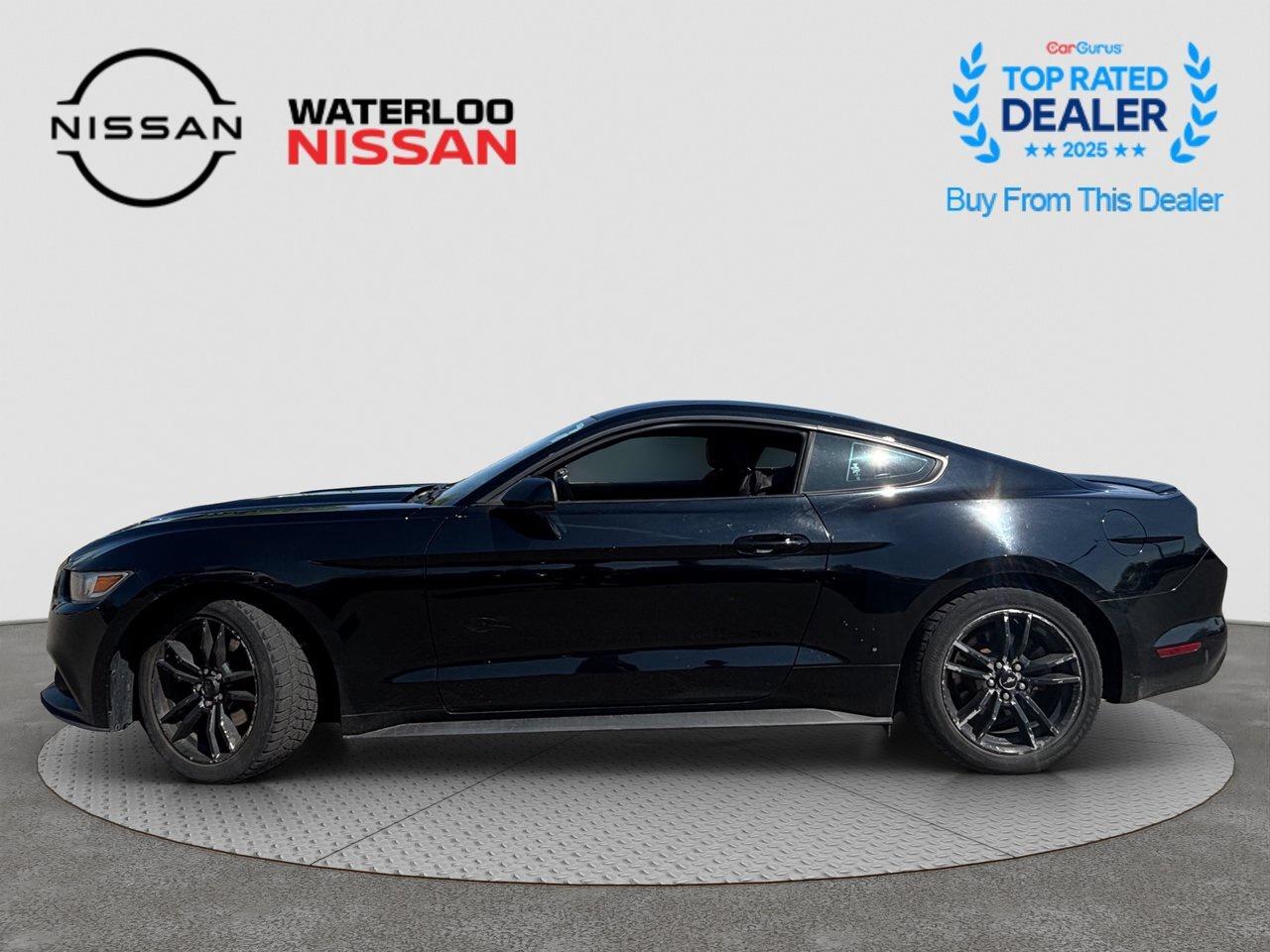 2017 Ford Mustang EcoBoost Photo
