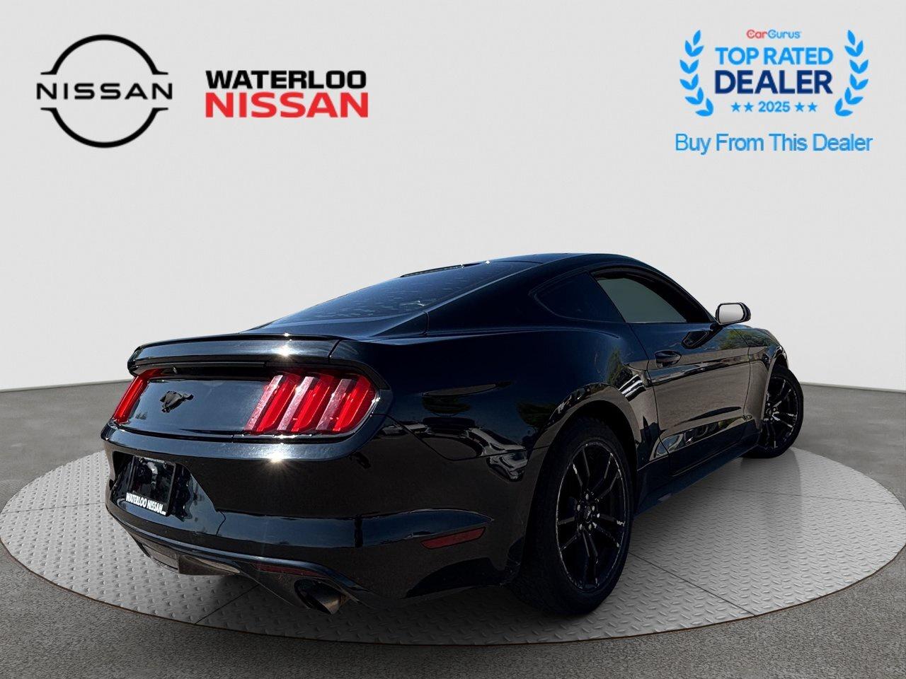 2017 Ford Mustang EcoBoost Photo