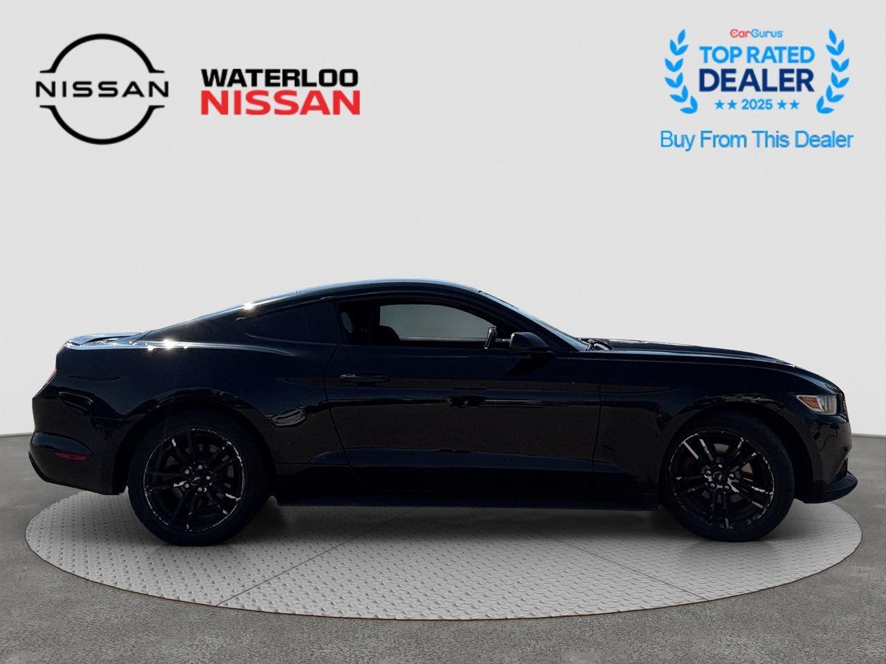 2017 Ford Mustang EcoBoost Photo